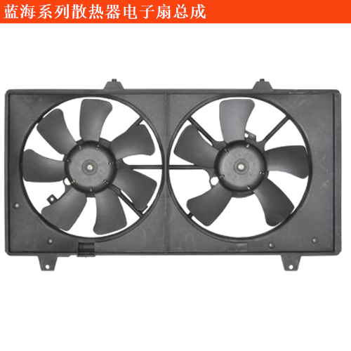 藍(lán)海威霆國賓散熱器電子扇總成