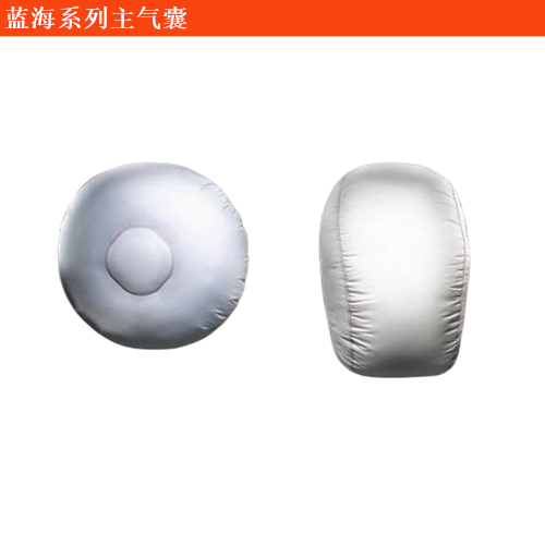 藍海威霆國賓主氣囊