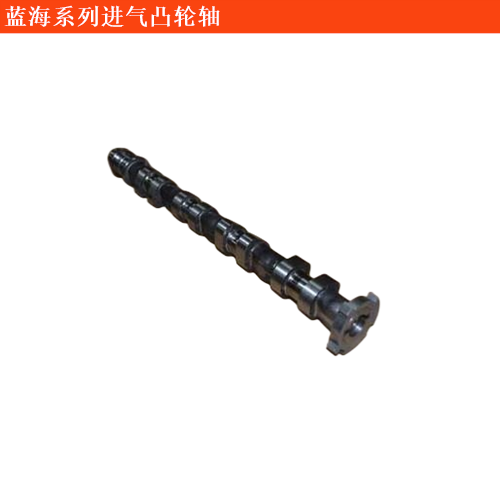 藍(lán)海威霆國(guó)賓進(jìn)氣凸輪軸