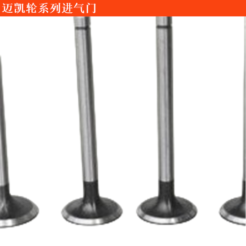 邁凱輪P1進氣門