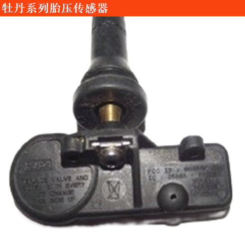 牡丹客車(chē)胎壓傳感器
