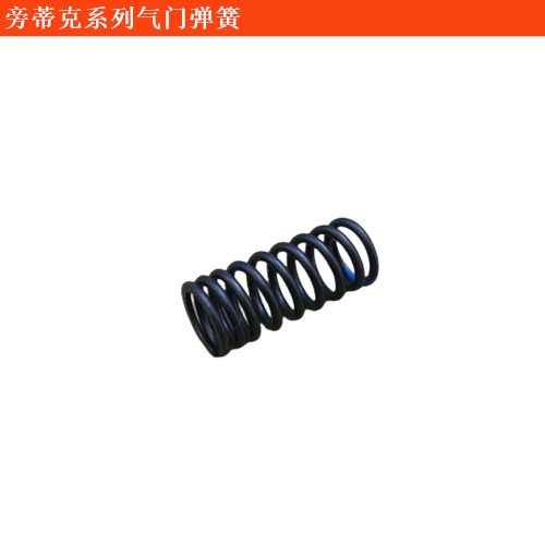 旁蒂克(進(jìn)口)氣門彈簧