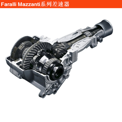 Faralli MazzantiEvantra差速器