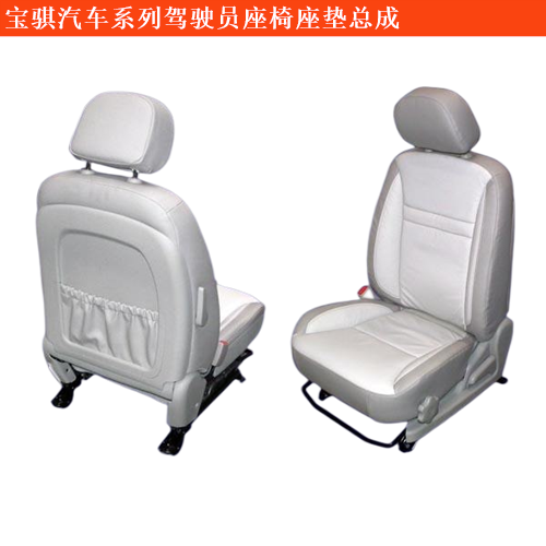 帥騏駕駛員座椅座墊總成