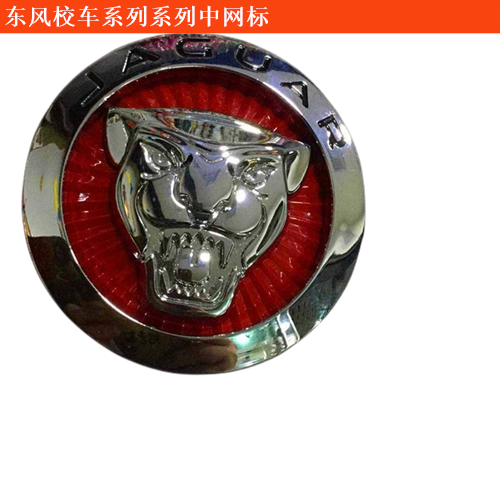 東風校車系列東風EQ6580ST系列中網(wǎng)標