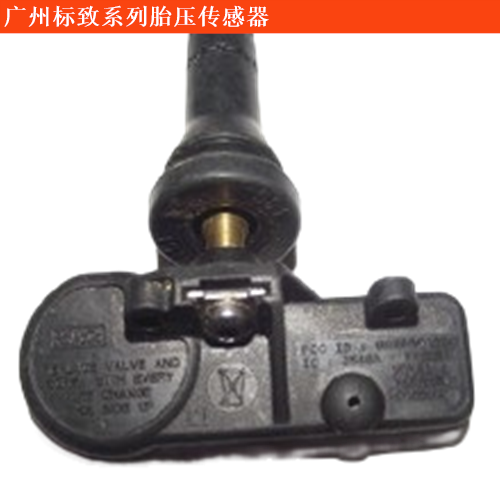 廣州標致胎壓傳感器
