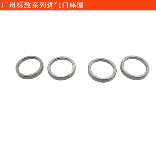 廣州標致進氣門座圈